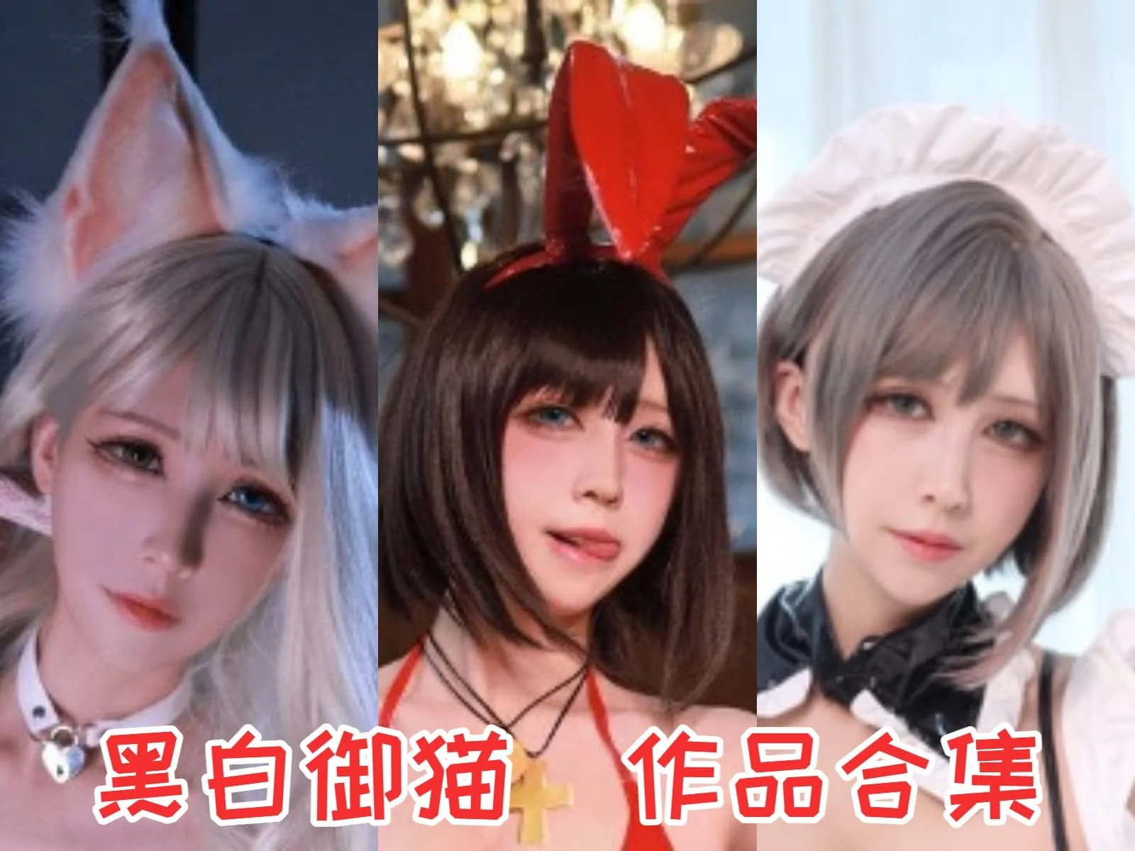 黑白御猫：二次元界的迷人小猫咪插图