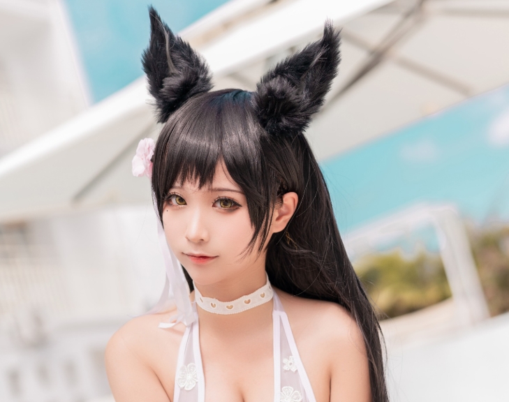 蠢沫沫 爱宕犬泳装Cos作品赏析｜高清图集/兽耳泳装/夏日主题插图2